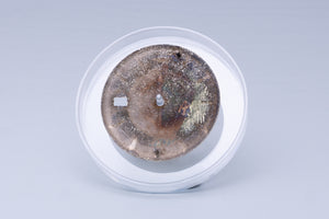 Rolex Datejust Silver Stick Marker dial for 1601 - 1603 FCD31064