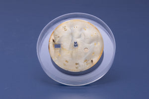 Rolex Datejust Champagne Stick Dial for model 16013 - 16233 FCD31077