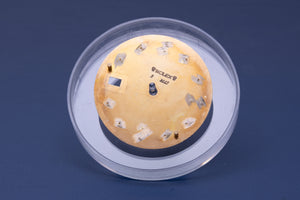 Rolex Yachtmaster Champagne Dial for Model 16623 - 16628 FCD31122