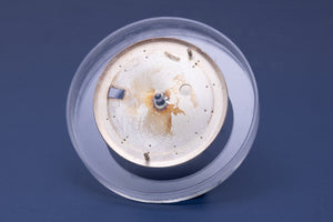 Rolex Datejust Silver Stick Dial for 1601 FCD31125