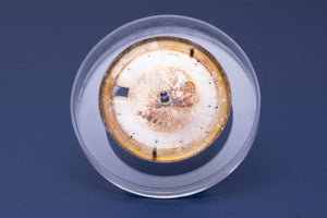 Rolex Datejust Silver Stick Dial for 1601 FCD31126