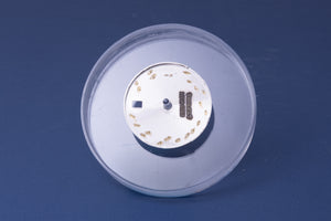 Rolex Ladies Rhodium Roman Dial for model 179174 - 179160 FCD31208