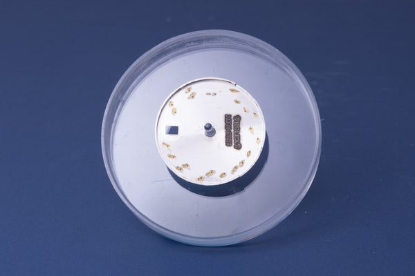 Load image into Gallery viewer, Rolex Ladies Rhodium Roman Dial for model 179174 - 179160 FCD31208
