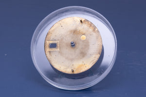 Rolex NQ Date Polar Stick Dial for 1500 FCD31217