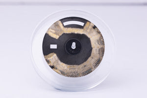 Rolex Day-Date DAMAGED Black Stick for model 18038 - 18238 FCD31263