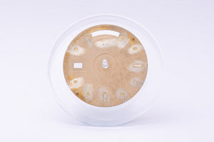 Rolex Day-Date DAMAGED Champagne 8-2 Diamond Dial for model 18038 - 18238 FCD31314